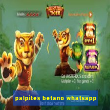 palpites betano whatsapp